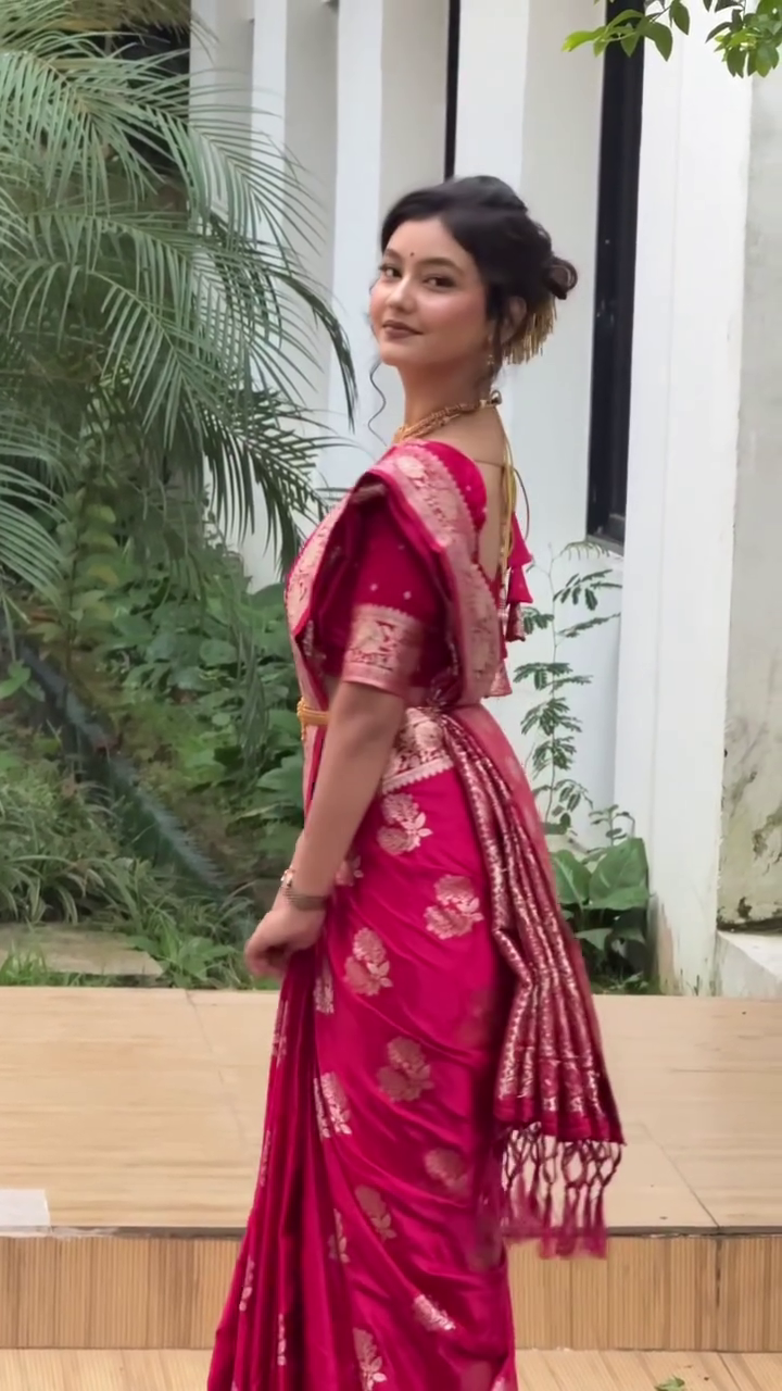 Timeless Saree Grace