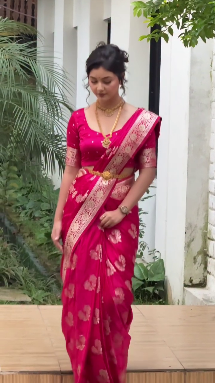 Timeless Saree Grace