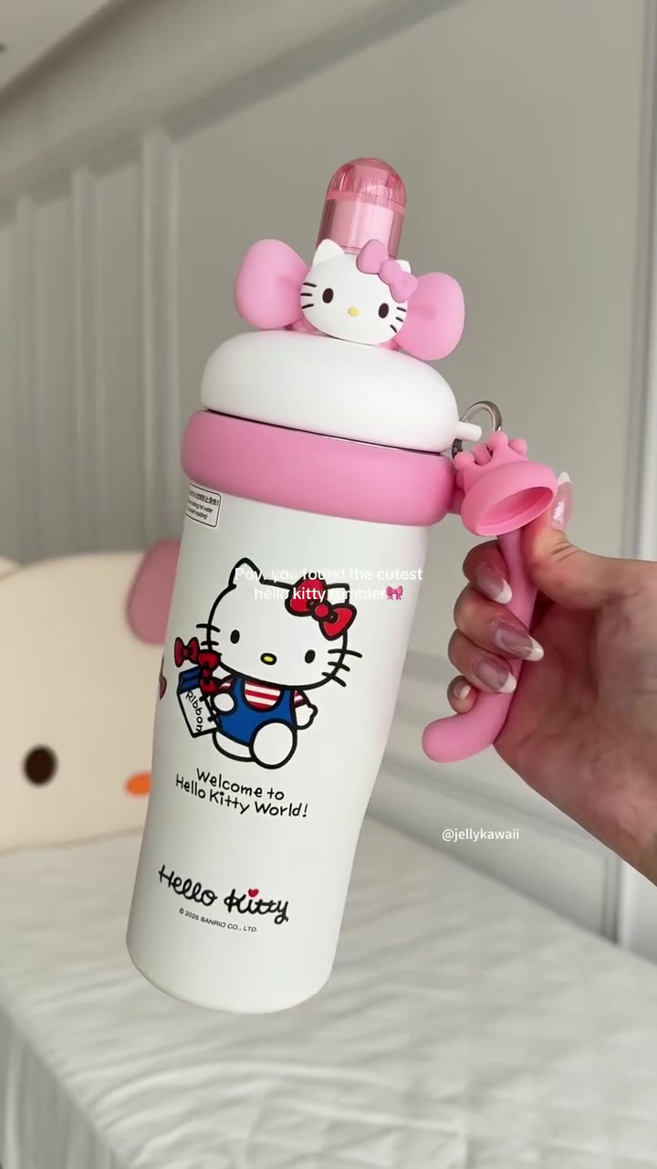 ππ± Hello Kitty Cute Thermos Bottle β Kawaii Pink Sipper Flask πβ¨