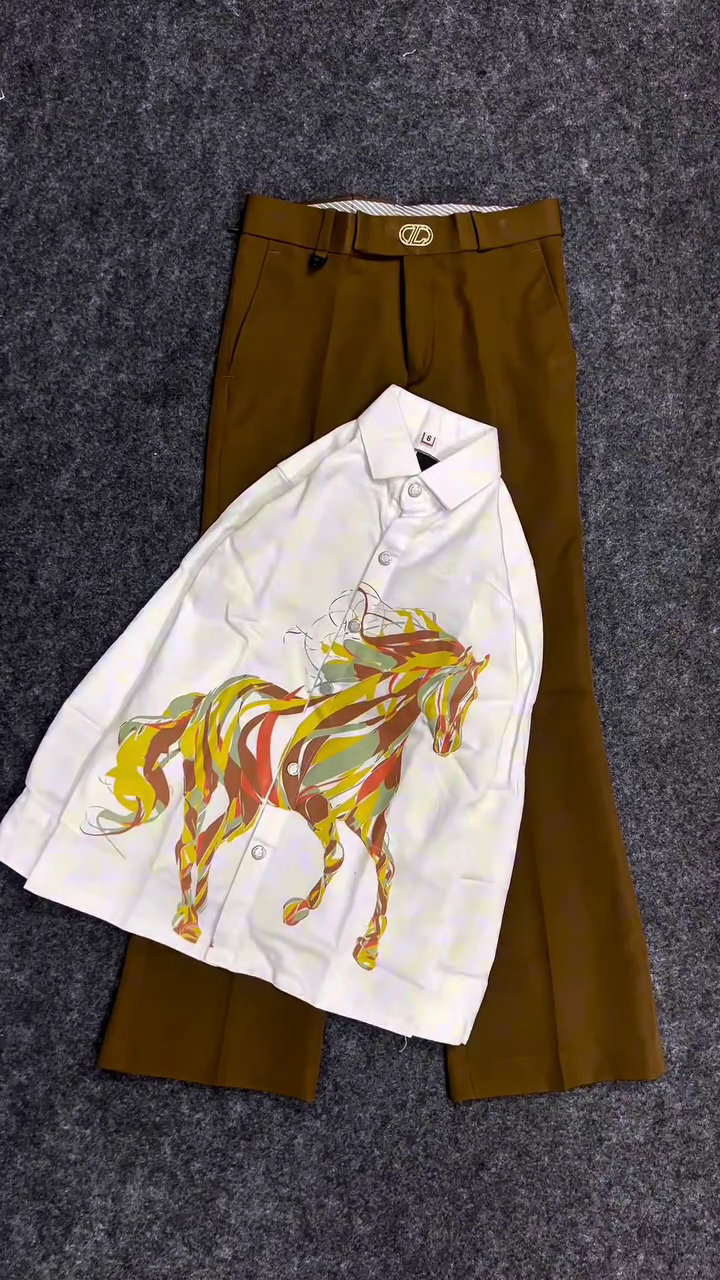 Trendy Korean-Style Combo: Printed Shirt with Relaxed Pants 🇰🇷👕👖
